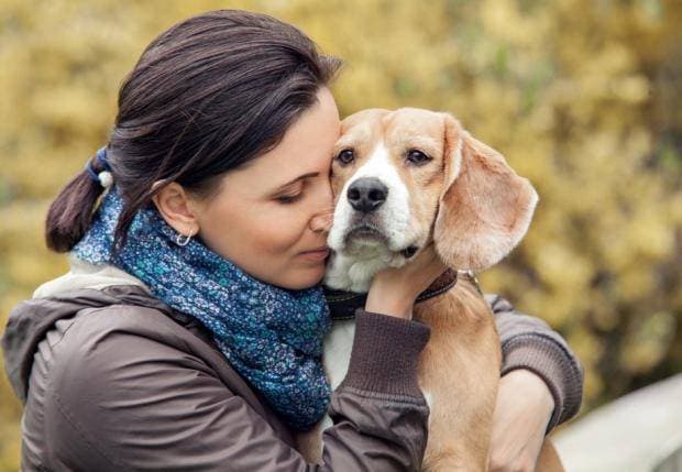 Choosing a healthy puppy