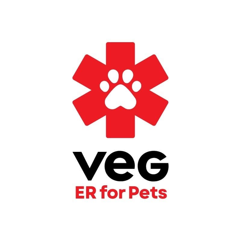 VEG Boston