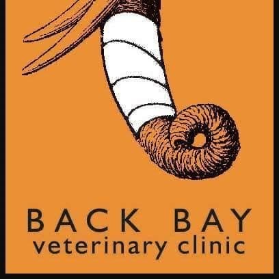 Back Bay Veterinary Clinic